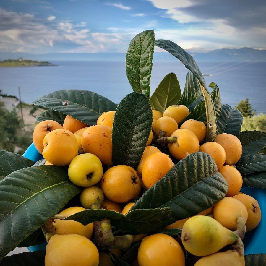Villa Avgerini Paxos Gaios Exteriér fotografie